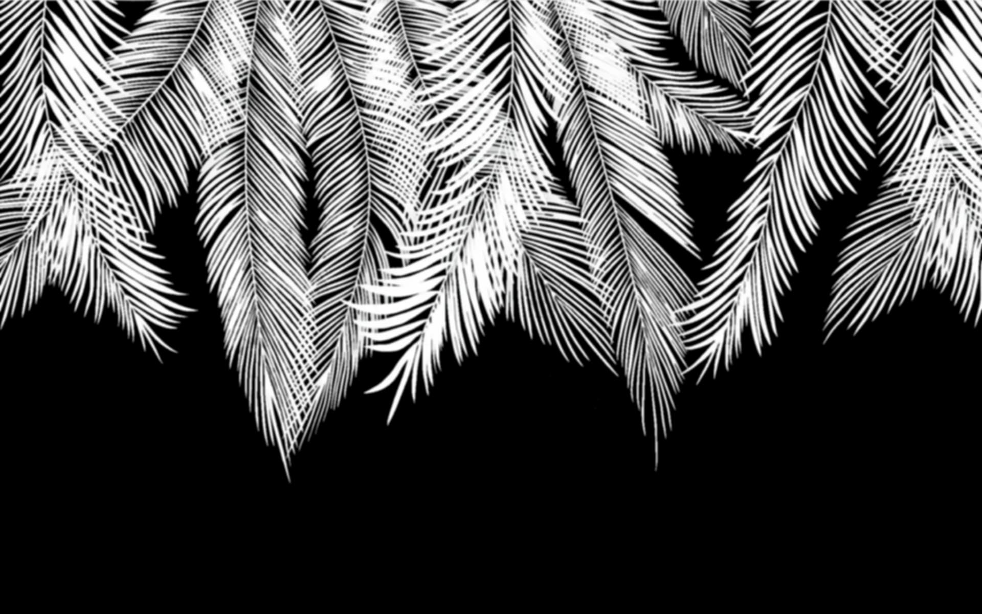 feathers